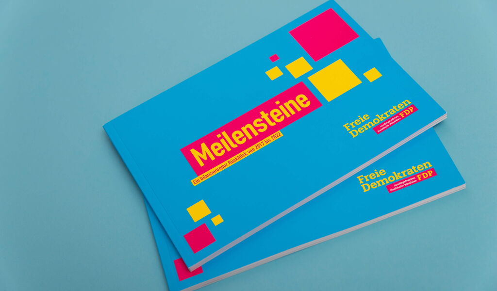 Titelseite Broschüre FDP